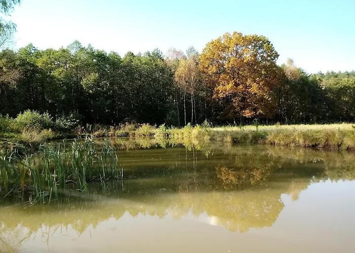 Farm stay Rozanka Nowy Tomysl